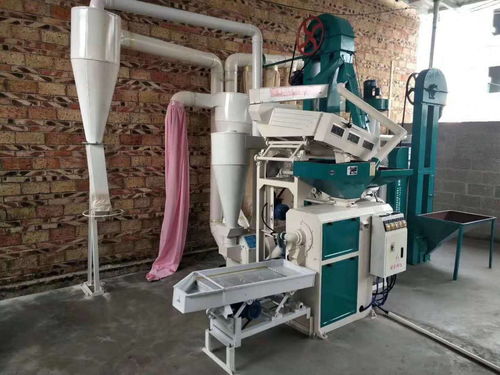 新型組合碾米機 小空間大作為，平穩運行鑄就精品
